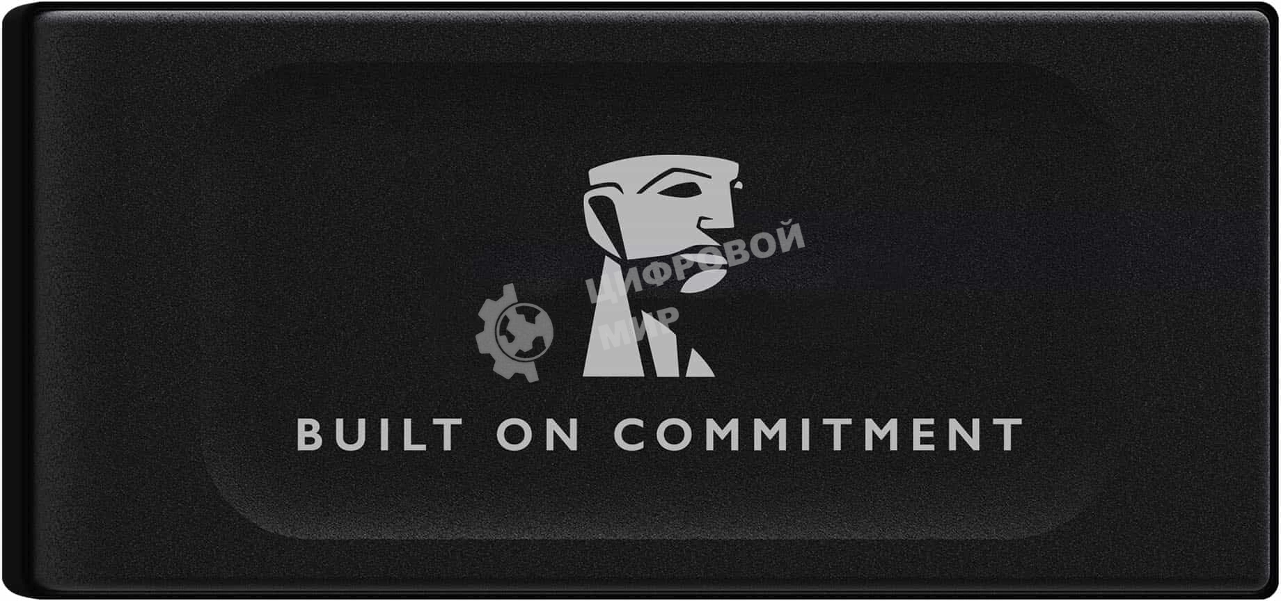 Внешний SSD Kingston XS1000, 1TB, USB 3.2 Gen 2 Type-C, R/W 1050/1000, черный