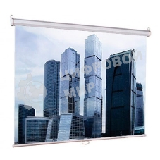 Экран Lumien 160x160 см Eco Picture LEP-100105 1:1 настенно-потолочный рулонный