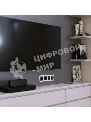 Рамка на 4 поста Platinum (алюминий) W0042606