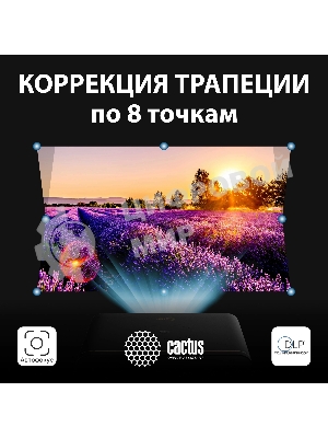 Проектор Cactus CS-H3.SG DLP 16800Lm (1920x1080) 200000:1 ресурс лампы:20000часов 1xUSB typeA 1xHDMI 3.1кг