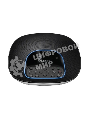 Веб-камера Logitech Group 1920x1080, 30 кадр/с, USB Type-A, микрофон (4 шт, шумоподавление), автоматическая фокусировка, автоосвещение, универсальное крепление, штатив в комплекте