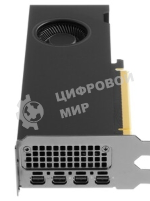 Видеокарта NVIDIA RTX A2000 Graphics Cards (ATX installed, LP included) 12Gb, Bulk Packing