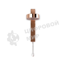 Настенный светодиодный светильник с выключателем Ambrella light FW161 GD золото LED 3000K 6W 265*95*135