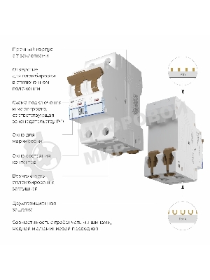 Автоматический выключатель Werkel 2P  16 A  C  4,5 кА W902P164