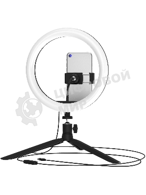 Светильник кольцевой Gauss 14W 700lm 3000-6500K 5V USB IP20 260x23мм черный дим пульт LED