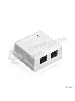 Розетка компьютерная двойная ExeGate SM2-RJ45-C5 RJ-45 кат.5/5E UTP Krone/110