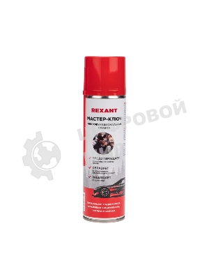 Мастер-ключ Rexant 335 мл, аэрозоль