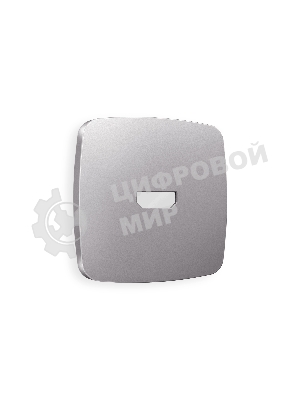 Лицевая панель OMEGA (Сталь матовый) для HDMI розетки QUANT OP5140