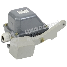 Выключатель концевой КУ-703 У1 рычаг с грузом 10А IP44 2 эл. цепи б/п IEK KV-1-703-1