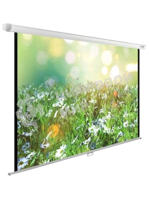 Экран Cactus 200x200 см WallExpert CS-PSWE-200x200-WT 1:1 настенно-потолочный рулонный