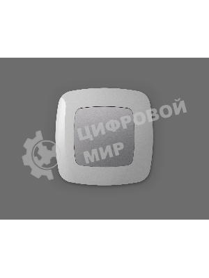 Лицевая панель OMEGA (Сталь матовый) заглушка для суппорта QUANT OP5160