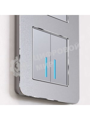 Рамка на 3 поста Platinum (алюминий) W0032606