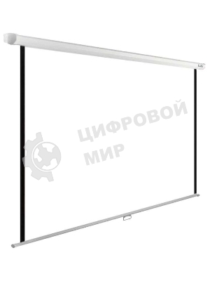Экран Cactus 200x200 см WallExpert CS-PSWE-200x200-WT 1:1 настенно-потолочный рулонный