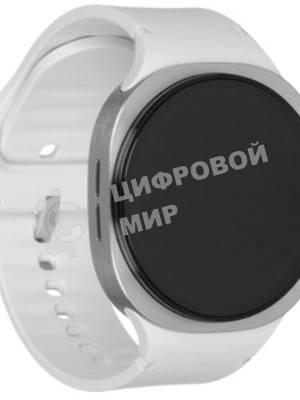 Умные часы Samsung Galaxy Watch8 LTE 1.34