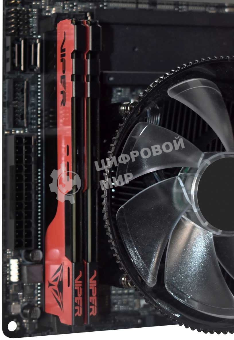 Оперативная память Patriot Viper Elite II, DDR4, 32GB (2x16 GB), 3200 MHz, CL18, DIMM, радиатор, красный, черный