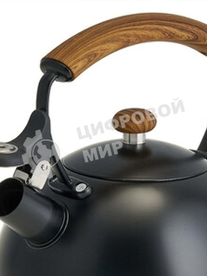 Чайник из нерж. стали WEBBER BE-0606 2,5л