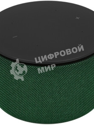 Умная колонка Яндекс Станция Мини 3 Про, 18Вт, компактная, 1 динамик, Алиса, Wi-Fi, Bluetooth 5.0, Zigbee, Matter, зеленый