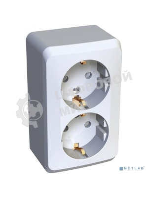 Розетка 2-м ОП Этюд 16А защ. шторки с заземл. белый SchE PA16-008B