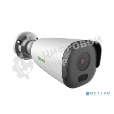 Камера видеонаблюдения IP Tiandy TC-C32GN Spec:I5/E/Y/C/2.8мм/V4.2 2.8-2.8мм (TC-C32GN SPEC:I5/E/Y/C/2.8мм)