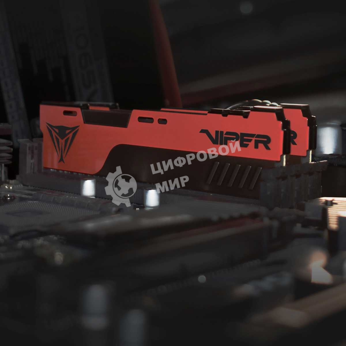 Оперативная память Patriot Viper Elite II, DDR4, 32GB (2x16 GB), 3200 MHz, CL18, DIMM, радиатор, красный, черный