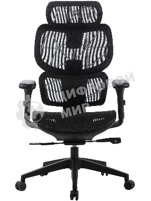 Кресло Cactus CS-MC555-BK черный, сетка, 150 кг, подголовник, регулируемые подлокотники, механизм качания