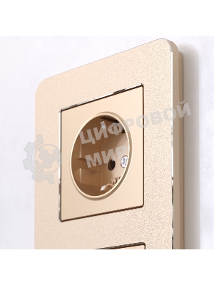 Рамка на 2 поста Platinum (шампань) W0022611