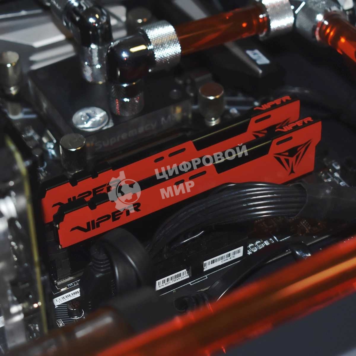 Оперативная память Patriot Viper Elite II, DDR4, 32GB (2x16 GB), 3200 MHz, CL18, DIMM, радиатор, красный, черный