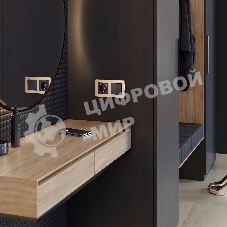 Рамка на 2 поста Platinum (шампань) W0022611