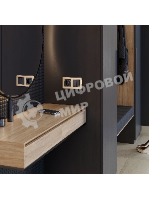 Рамка на 2 поста Platinum (шампань) W0022611