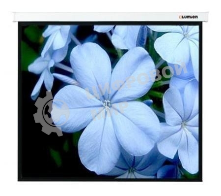 Экран Lumien 280x280см Master Control LMC-100126 1:1 настенно-потолочный рулонный белый (моторизованный привод)