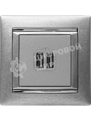 Розетка 2-ая USB | 770270 | Legrand Valena Алюминий