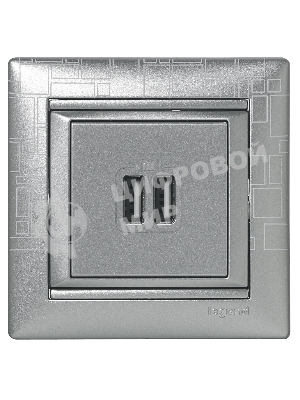 Розетка 2-ая USB | 770270 | Legrand Valena Алюминий