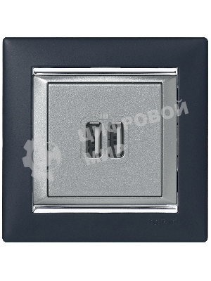 Розетка 2-ая USB | 770270 | Legrand Valena Алюминий