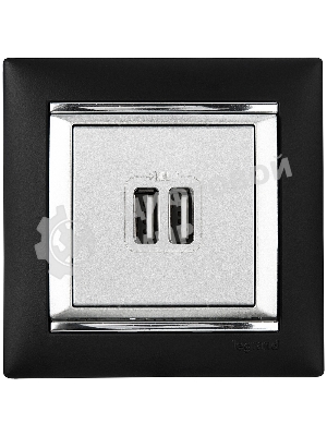 Розетка 2-ая USB | 770270 | Legrand Valena Алюминий