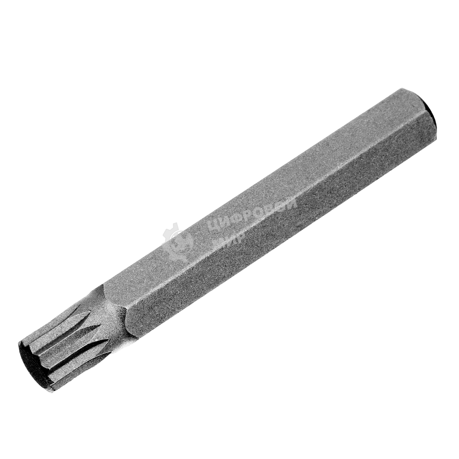 Набор бит Stels HEX, TORX, SPLINE, шестигранный хвостовик 3/8
