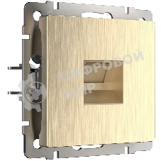 Розетка Ethernet RJ-45 (шампань рифленый)