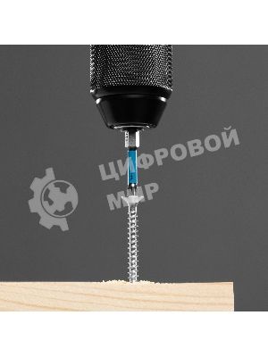 Набор бит торсионных PZ3x50 мм, для ударных шуруповертов, 10 шт. Gross