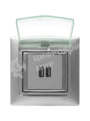 Розетка 2-ая USB | 770270 | Legrand Valena Алюминий