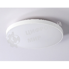 Потолочный светодиодный светильник Ambrella light FZ1220 WH белый IP44 13W 4200K D232*50 (Без ПДУ)
