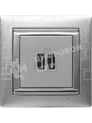 Розетка 2-ая USB | 770270 | Legrand Valena Алюминий