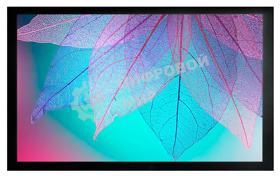 Экран на раме Cactus 124x220 см FrameExpert CS-PSFRE-220X124 16:9 настенный натяжной