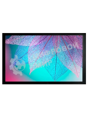 Экран на раме Cactus 124x220 см FrameExpert CS-PSFRE-220X124 16:9 настенный натяжной