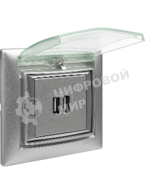 Розетка 2-ая USB | 770270 | Legrand Valena Алюминий