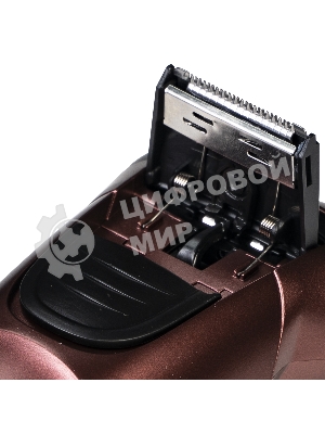 Электробритва Galaxy Line GL 4209, бронзовый, аккумуляторная, 5 Вт, Li-Ion аккумулятор емкостью 600 мА*ч, вр. непр. работы до 1,5 ч, ножи из нержавеющей стали, 3 независимые плавающие головки, возможность промывки бреющего блока, индикатор заряда и работы, встроенный триммер для подравнивания висков, USB зарядка