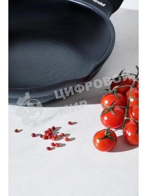 Сковорода Rondell Pacific RDA-1905 круглая 24 см, покрытие: Xylan Plus ручка несъемная (без крышки) серый