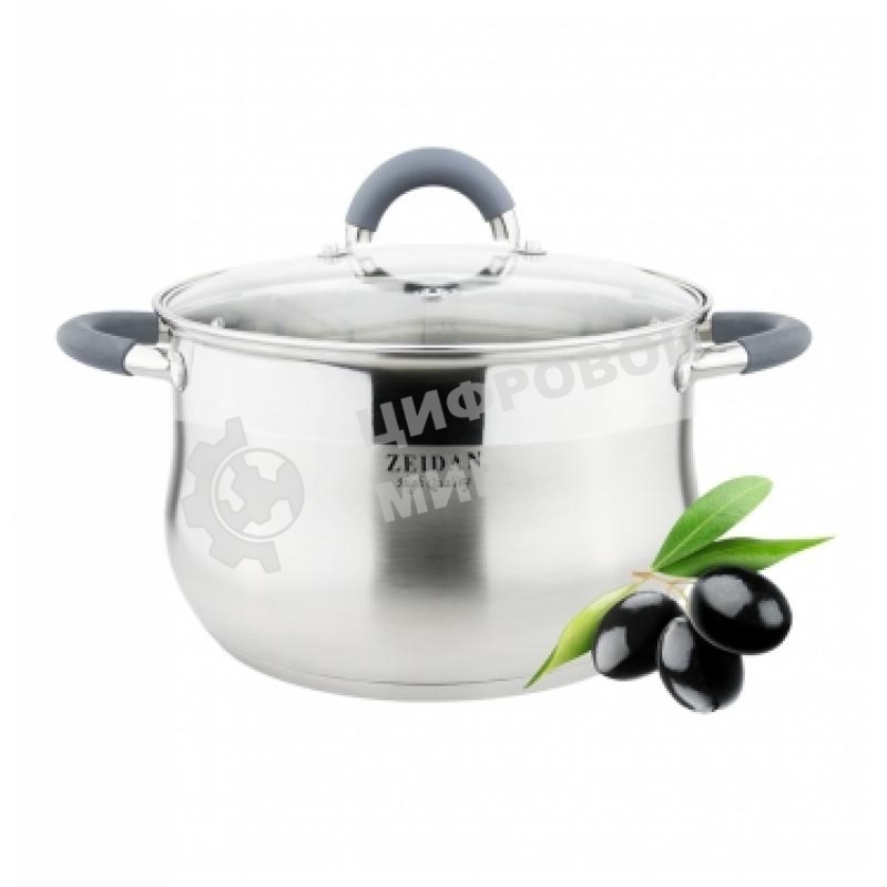 Кастрюля со стеклянной крышкой Zeidan Z-50252 4,0 л (O20х12.5 см), нерж.сталь, внутренняя - матовая полировка, снаружи - комбинированная полировка, шкала литража, ручки с силиконовым покрытием, капсулир. дно, подарочная упаковка с пластиковой ручкой