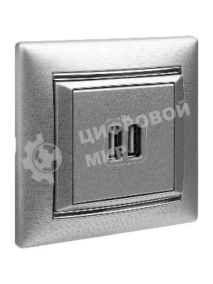 Розетка 2-ая USB | 770270 | Legrand Valena Алюминий
