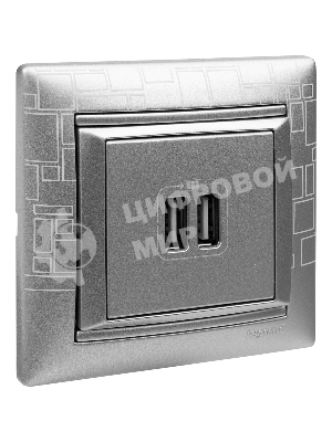 Розетка 2-ая USB | 770270 | Legrand Valena Алюминий