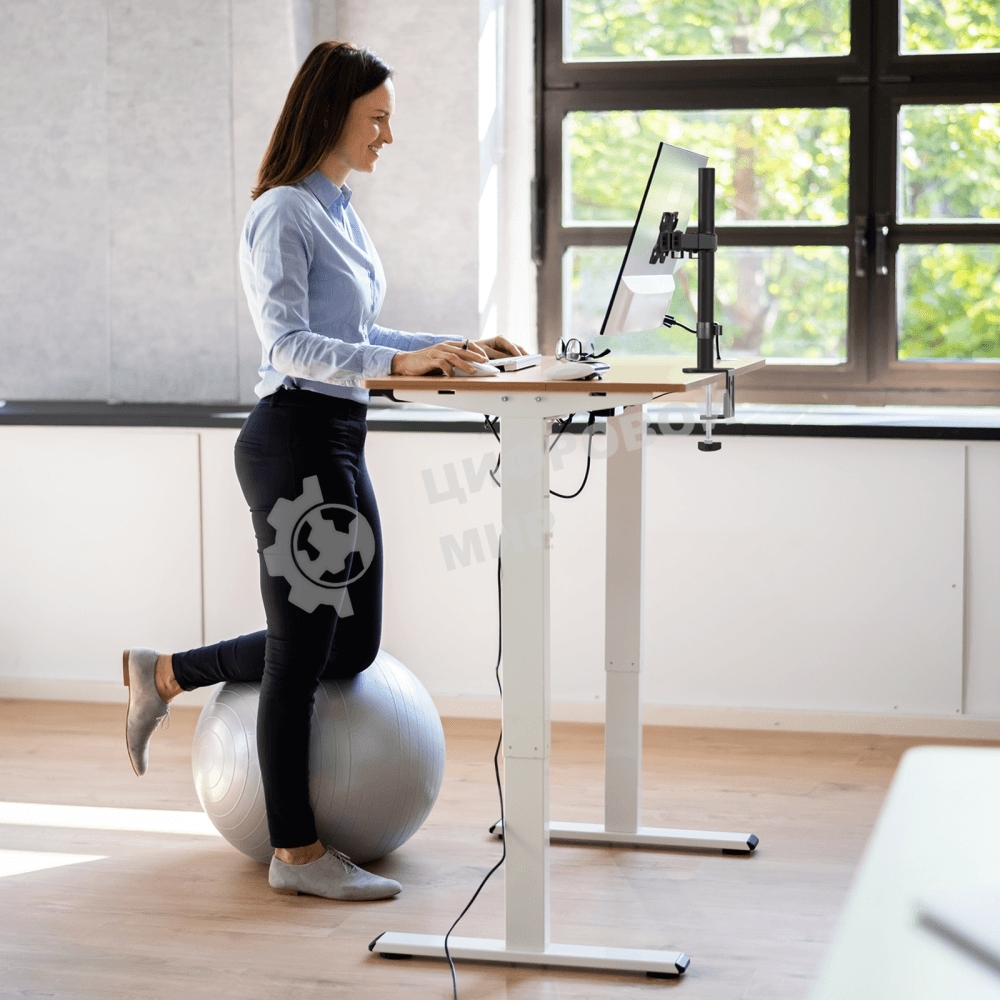 Кронштейн ONKRON D121E для монитора 13