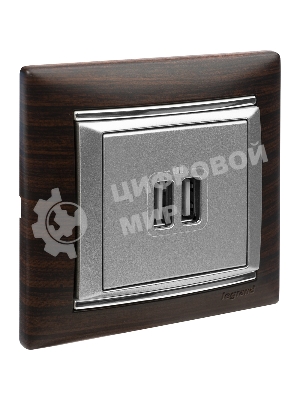Розетка 2-ая USB | 770270 | Legrand Valena Алюминий
